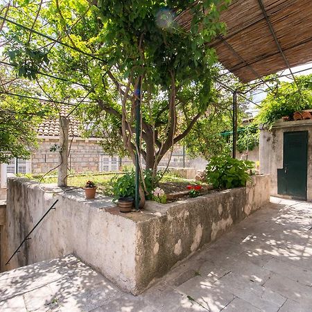 Summer Day Room Dubrovnik Exterior photo